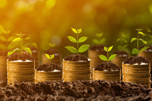 istock Money growing in soil,success concept 831661260