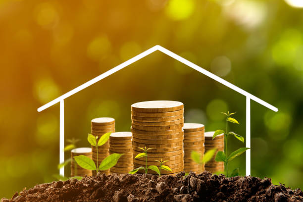 istock Money growing in soil. 831661466