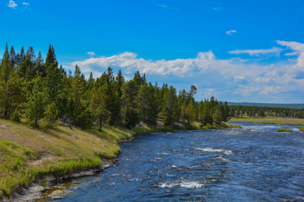 istock Firehole River in Yellowstone National Park 831672928