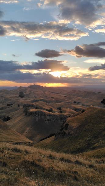 istock Lookout from the hills with dry weed 831676292