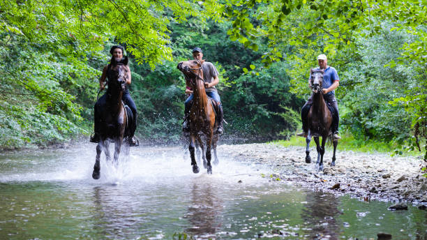 istock Horse riding on the river 831684748