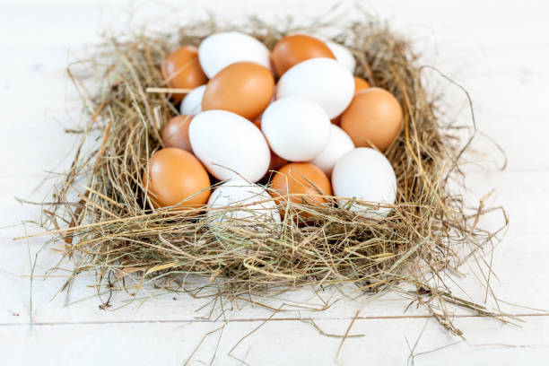 istock Fresh country eggs with straw on rustic wooden white table 831685322