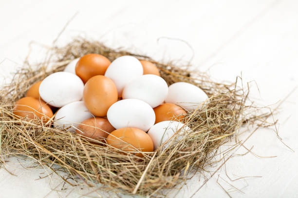 istock Fresh country eggs with straw on rustic wooden white table 831689048