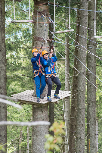 High ropes course in the forest