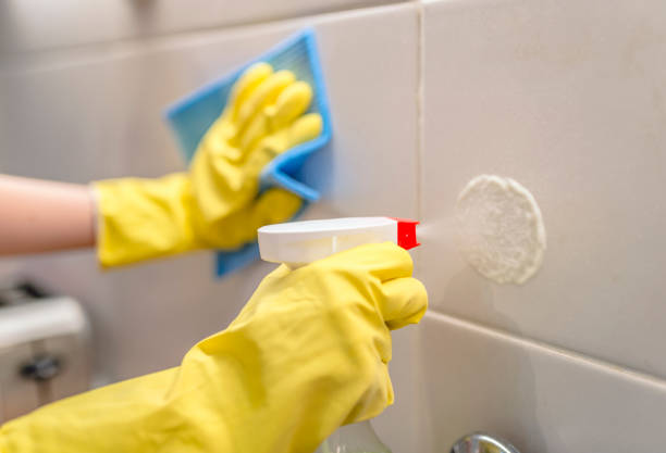 istock Person cleaning the surface of a kitchen 831699252