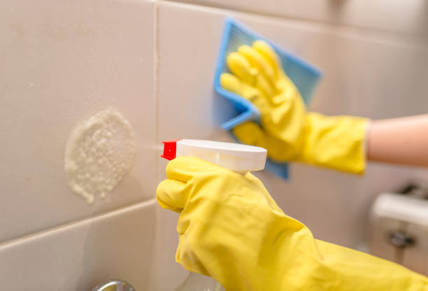 istock Woman Cleaning kitchen Tiles, Side View 831699278