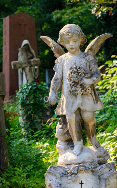 istock A statue of an angel in an old cemetery. 831700412