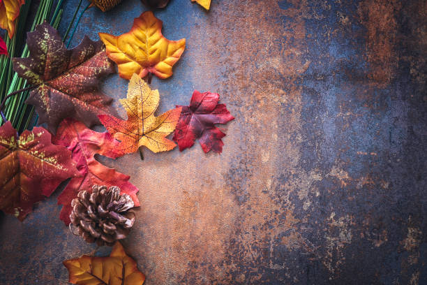istock Autumn Decoration Background with Leafs and Nuts 831703860