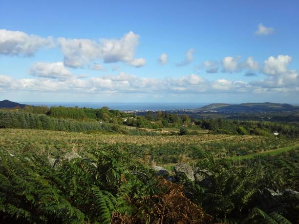 istock View of Bray from Glencree 831704386