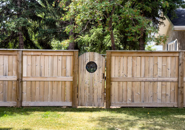 the backyard door - garden fence imagens e fotografias de stock