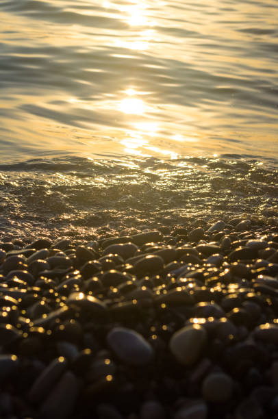 istock sea pebble beach with multicoloured stones, waves with foam 831707658
