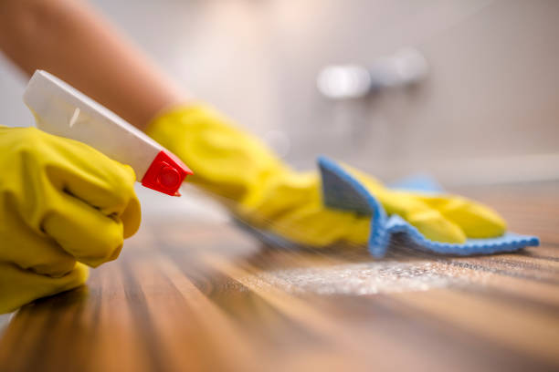 istock Cleaning and spraying desk in the kitchen 831711930