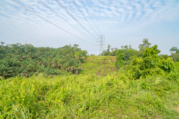 istock Overhead Transmission Tower Line Electricity Steel Lattice Pylon 831714944