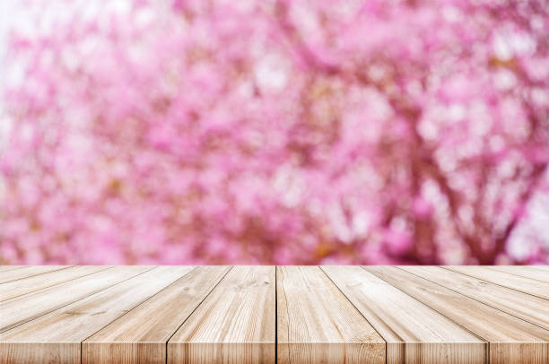 istock Empty wooden table top with blurred pink cherry or cherry blossom background. can be used product display. 831716560
