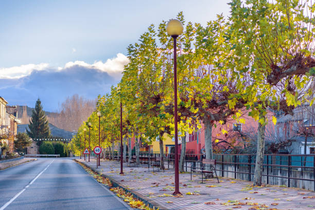 istock Serene Spanish village landscape with tree lined highway and mountains background 831732072