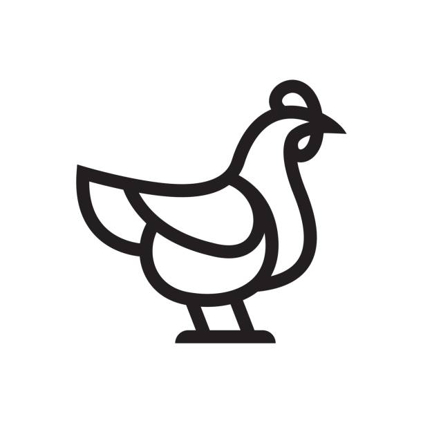 illustrations, cliparts, dessins animés et icônes de poulet ou coq icône vector - poule naine