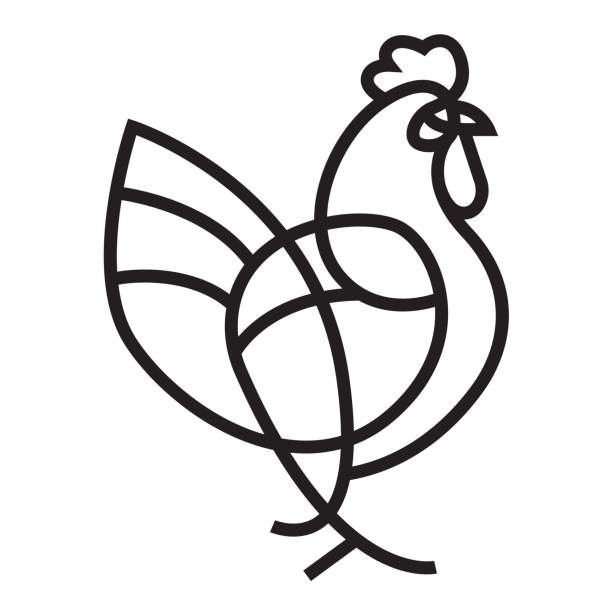 illustrations, cliparts, dessins animés et icônes de icône de vecteur de coq - poule naine