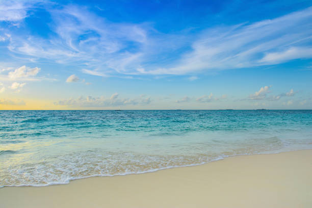 istock Landscape of beautiful sunset 831741214