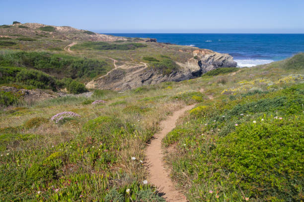 istock Trekking in the beach in Vila Nova de Milfontes 831744434