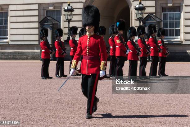 The Queens Guard Stock Photo - Download Image Now - Armed Forces, Army, Bearskin Hat