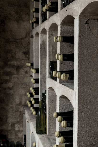 istock bottles of wine in the cellar 831751776