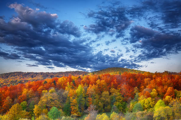 istock mountain autumn landscape with colorful forest 831772526
