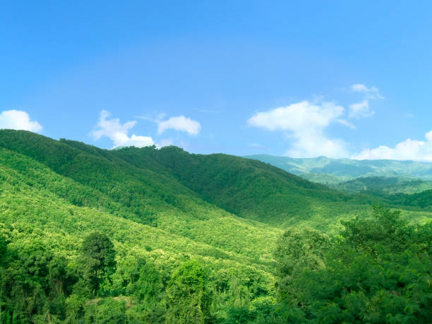 istock Landscape of green mountain range 831789870