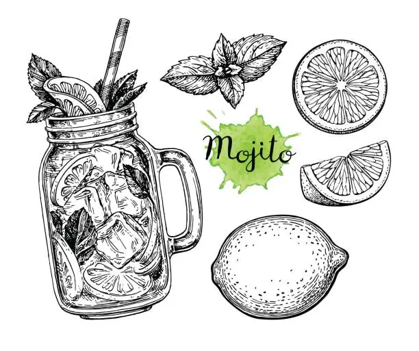 Vector illustration of Mojito drink and ingredients