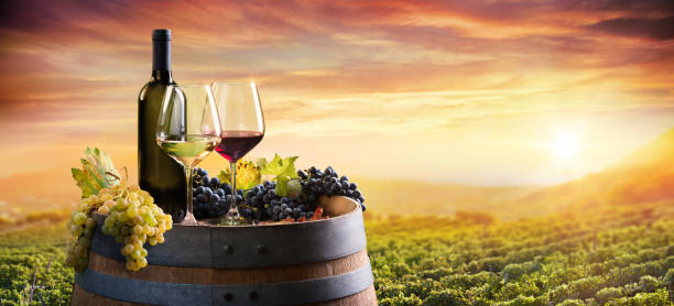 Bottle And WineGlasses On Barrel In Vineyard At Sunset