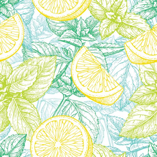 stockillustraties, clipart, cartoons en iconen met naadloze patroon met citroen en mint. - lipbloemenfamilie illustraties