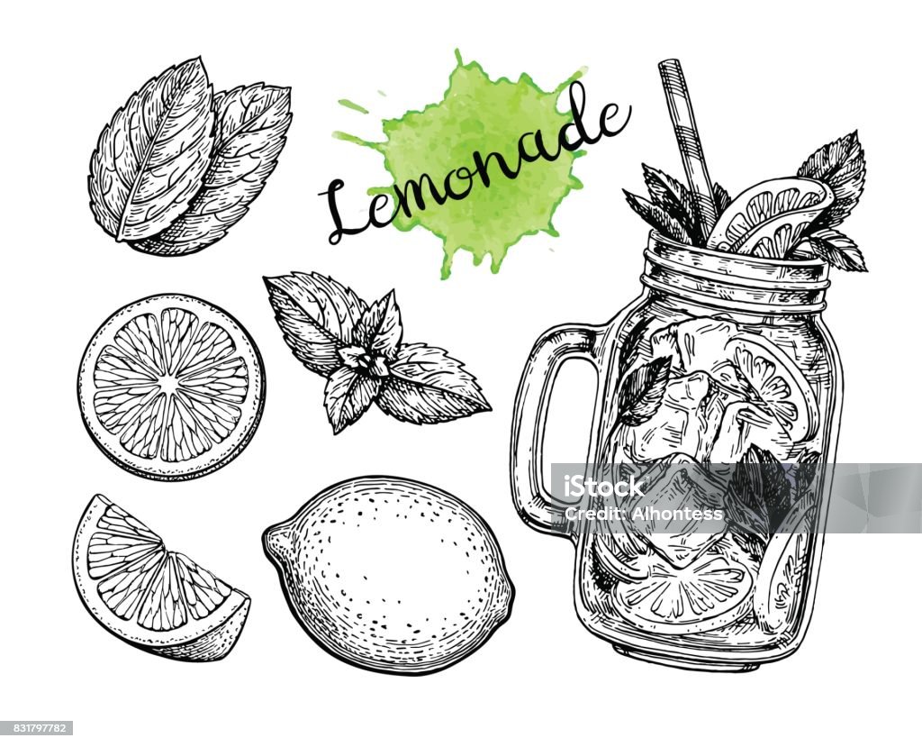 Lemonade and ingredients. Lemonad set. Isolated on white background. Hand drawn vector illustration. Retro style ink sketch. Lemon - Fruit stock vector