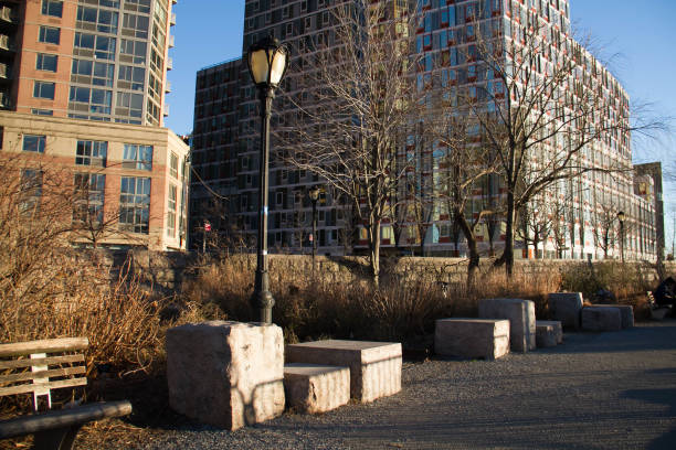 istock Dried plants at park in winter 831801322