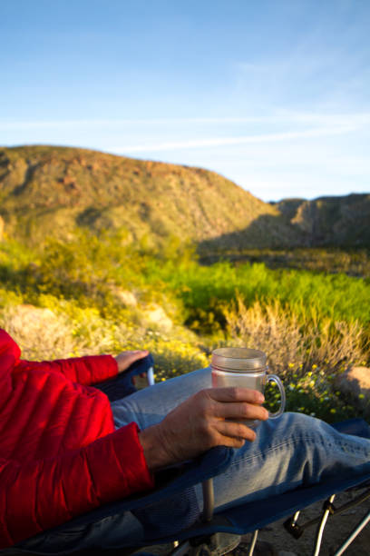istock Wilderness Meditation: Man Contemplating Desert at Dawn 831801778