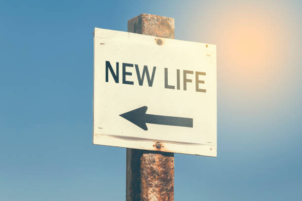 istock New life word and arrow signpost 3 831808992