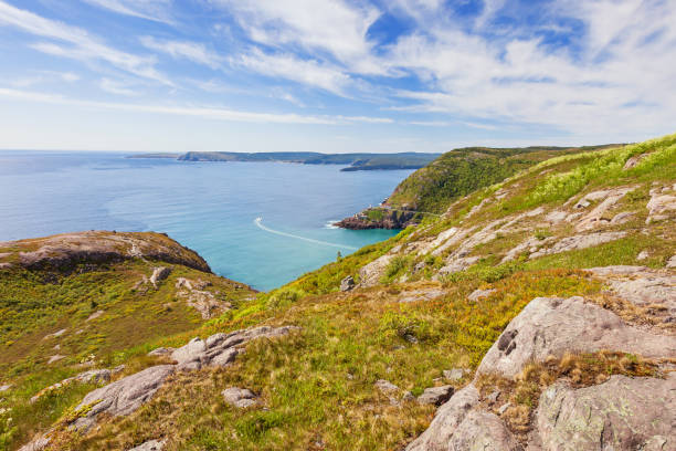 istock Coastline and Atlantic Ocean from Signal Hill St John's Newfoundland Canada 831809286