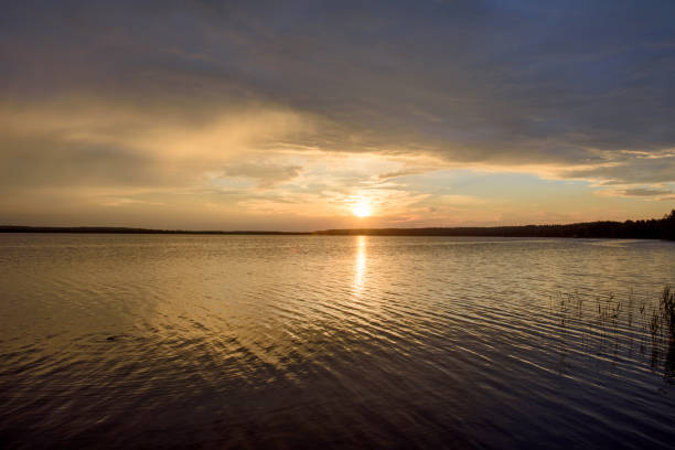 istock Picturesque summer sunset on the lake. 831815218