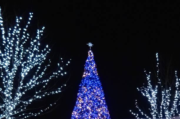 istock Christmas tree of lights 831817788