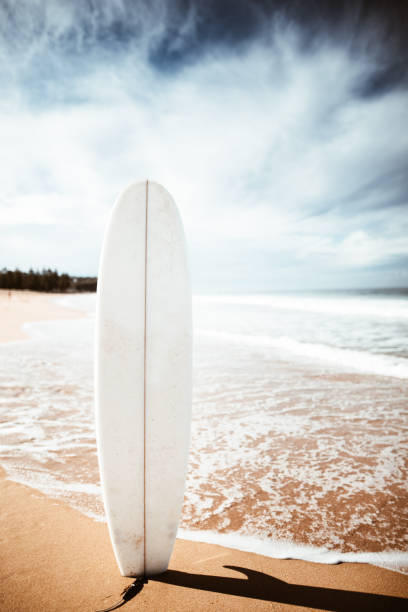 deska surfingowa stojąca w australii - manly beach sydney australia australia beach zdjęcia i obrazy z banku zdjęć