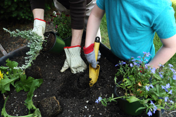 istock Helping Grandma Garden 831818570