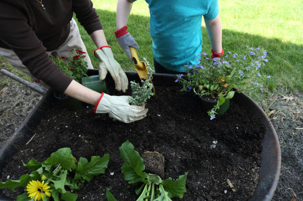 istock Helping Grandma Garden 831818728