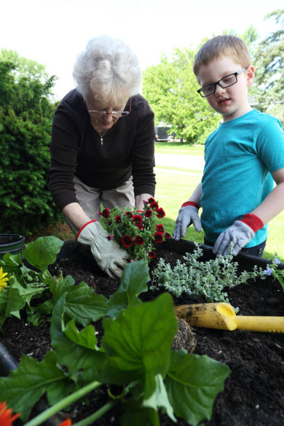 istock Gardening with Grandma 831818786