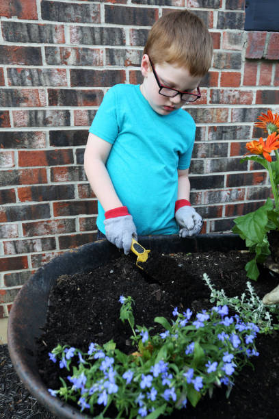 Little Boy Planting Flowers