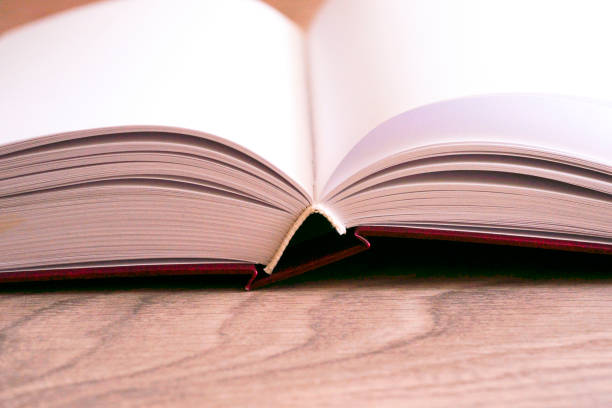 istock Open book on wooden background. Back to school. 831818880