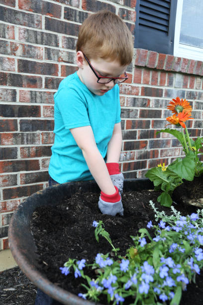 istock Little Boy Planting Flowers 831818900