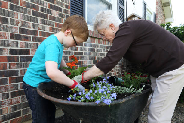 istock Helping Grandma Garden 831818970