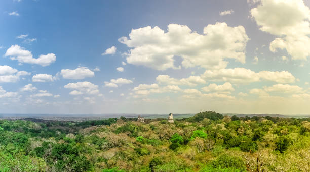 vue panoramique sur la forêt tropicale et les ruines de tikal au guatemala - tropical rain forest flash photos et images de collection