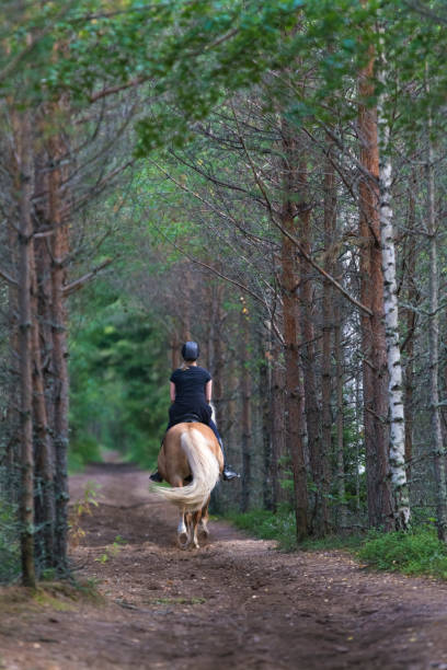 istock Woman horseback riding 831825720