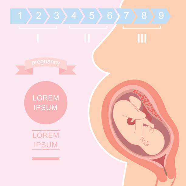 istock silhouette of a pregnant woman 831829234