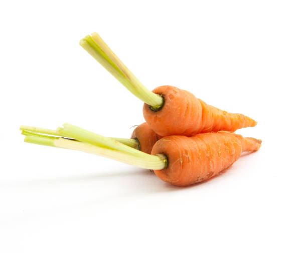 istock baby carrot immature carrot on white background 831836432