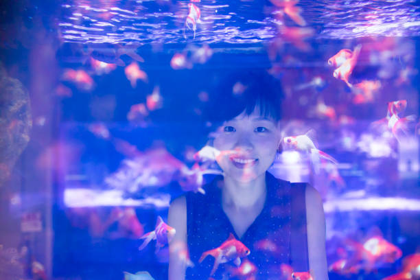Asian woman looking at goldfish in water task
